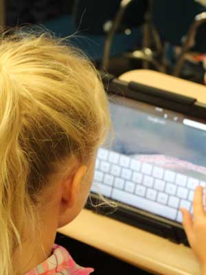 干净无垃圾的短信轰炸机在线网页版